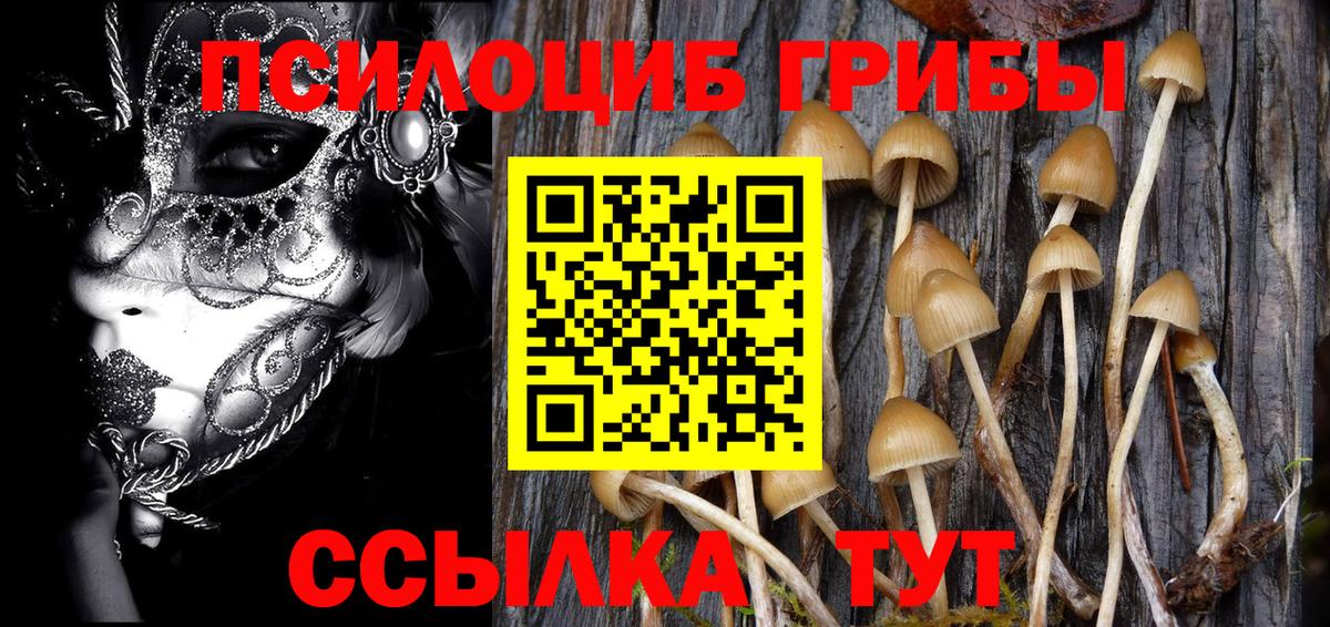 Новый Уренгой  Псилоцибиновые грибы Magic Shrooms  Галлюциногенные грибы Magic Shrooms  Вход с VPN 