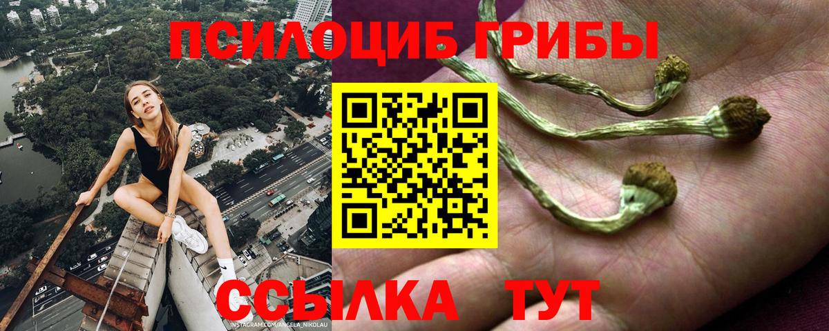 Галлюциногенные грибы Psilocybine cubensis Новый Уренгой